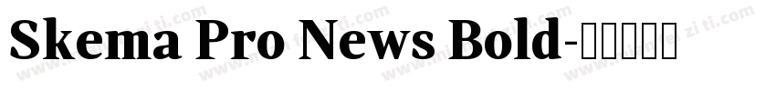 Skema Pro News Bold字体转换